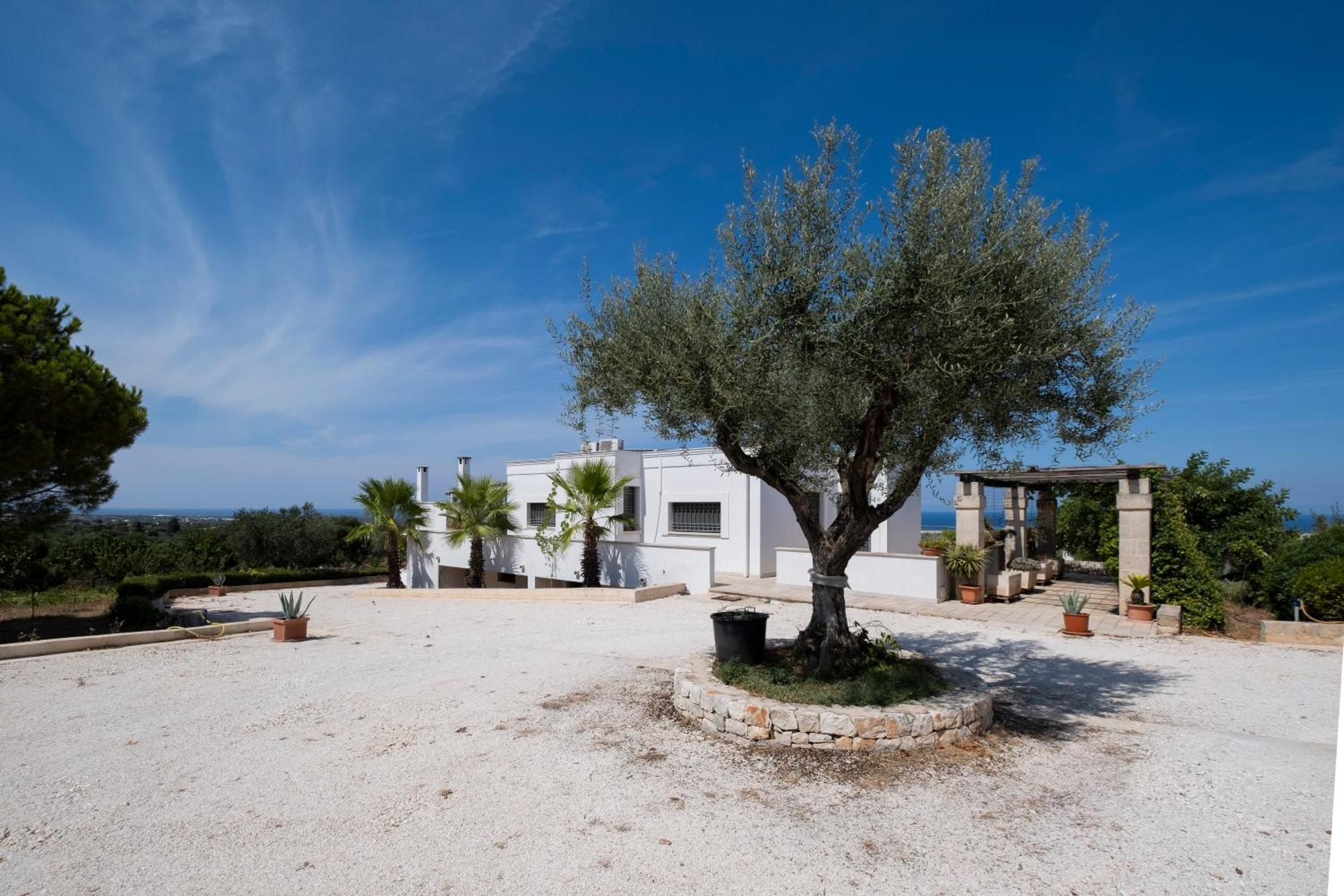 Il Carrubo Villa Polignano a Mare Exterior photo