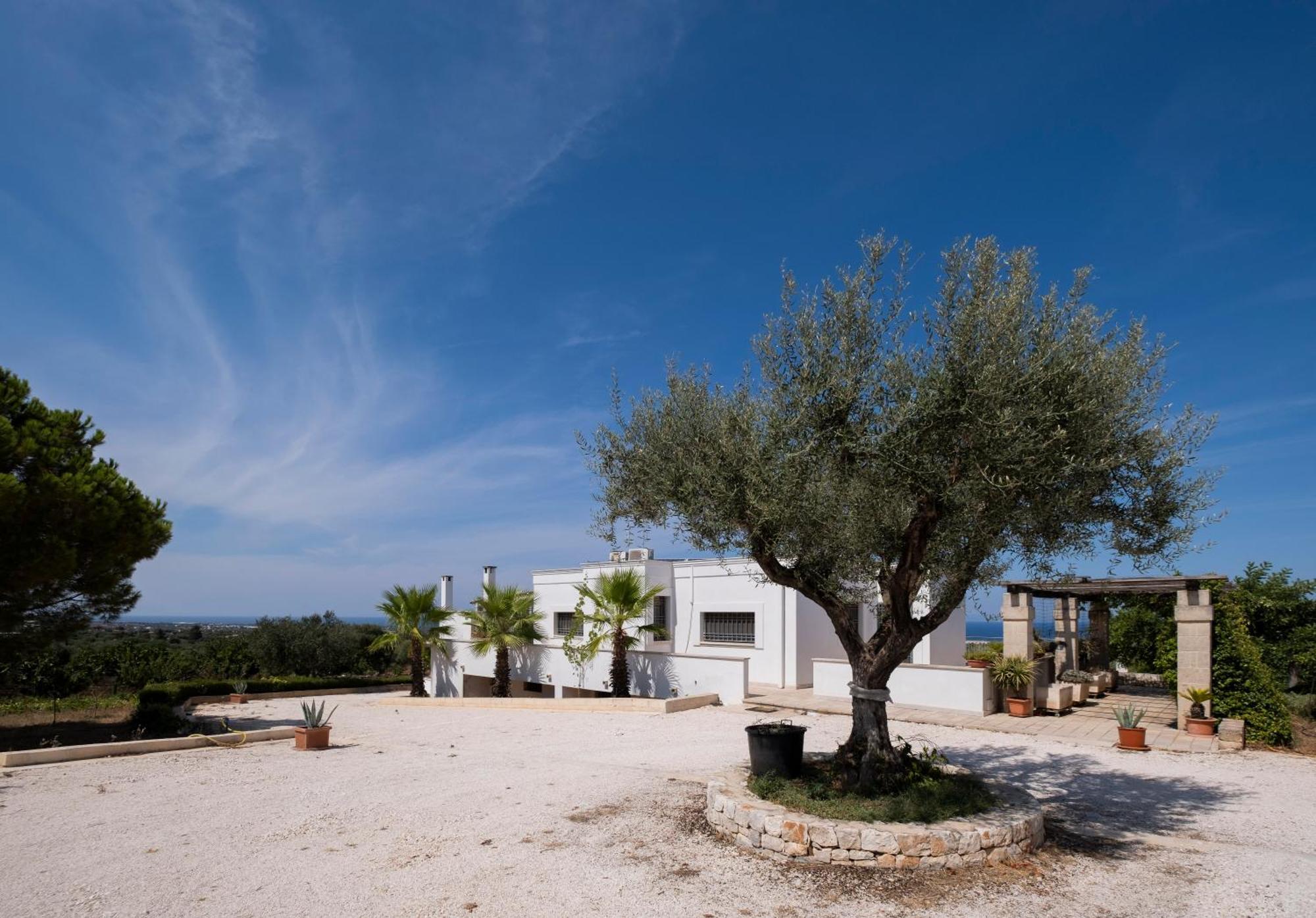 Il Carrubo Villa Polignano a Mare Exterior photo