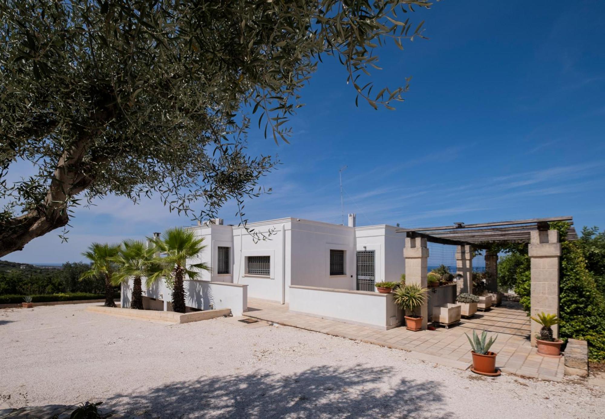 Il Carrubo Villa Polignano a Mare Exterior photo